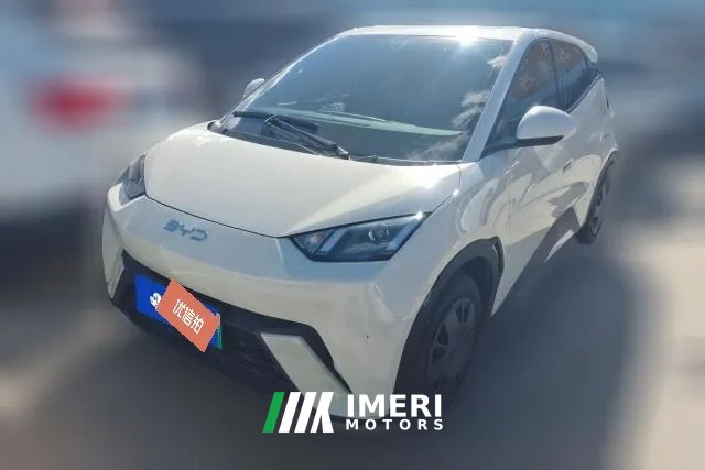 2024 BYD Seagull 2024 Glory 305km vitalityEdition