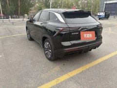 2023 Jetour Dasheng 2022 1.6T AT DCTking #6