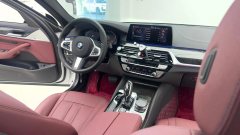 2020 BMW 5 Series 2020 2.0T AT 530LiLeadingMSport Pkg #20