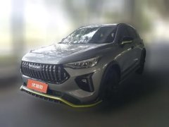 2022 Haval Chitu 2021 1.5T AT ProvokingEdition golden rabbit #1