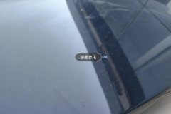 Trunk Lid