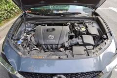 2021 Mazda CX-30 2020 2.0 AT Jiayue #10