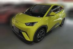 2024 BYD Seagull 2024 Glory 305KM freeEdition #1