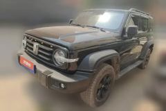2023 Tank 300 2023 Off-road 2.0T AT conqueror #1