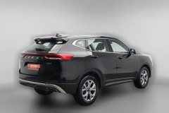 2021 Haval H6 2021 1.5T AT China tideChampion #2