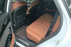 2023 BYD Tang New Energy 2023 1.5T AT DM-i Champion 112KM Honor #11