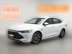2024 BYD Qin Plus 2024 Glory 1.5L AT DM-i 55KMLeading #1