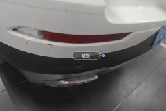 Лев. Задн. Fog Light