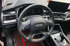 2022 Haval H6 2021 1.5T AT China tideUrbanEdition #15