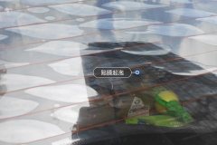 Rear Windshield