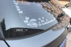 Rear Windshield