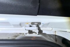 Trunk Lid