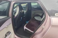 2022 BYD Dolphin 2021 401km knightEdition #11