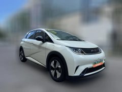 2023 BYD Dolphin 2023 420km freeEdition #4
