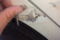 Right Rear Fender