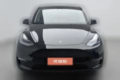 2021 Tesla Model Y 2021StandardBattery lifeRWDEdition #3