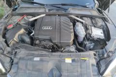 2022 Audi A5 Sportback 2022 Sportback 2.0T AT 40 TFSI FashionDynamic (Imported) #10
