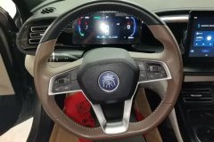 2024 BYD Qin Plus 2023 Champion 1.5 AT DM-i 55KMLeading #15