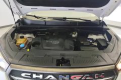 2018 Chang'an CS55 2017 1.5T MT Dazzling color #10
