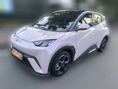 2024 BYD Seagull 2024 Glory 305KM freeEdition #1