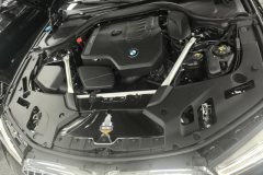 2021 BMW 5 Series 2021 2.0T AT 530LiLeadingLuxury Pkg #10