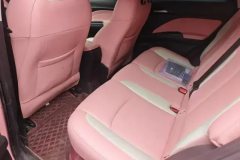 2022 Neta V 2022 AT tide 400 Lite Pink customization #11