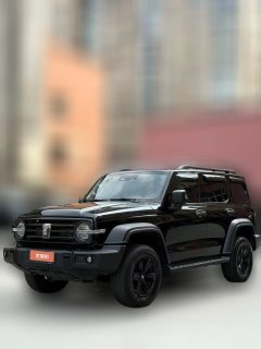 2023 Tank 300 2023 Off-road 2.0T AT conqueror #2