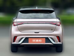 2022 BYD Dolphin 2021 405km Fashion #17