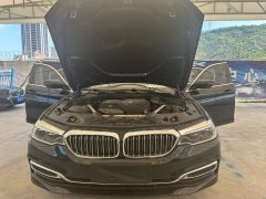 2021 BMW 5 Series 2020 2.0T AT 530LiLeadingLuxury Pkg #14