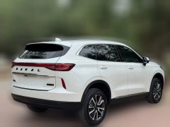 2025 Haval H6 2024 1.5T AT 2WDClassic #7