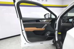 2024 BYD Tang PHEV 2023 1.5T AT DM-i Champion 112KM Honor #7