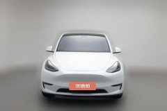 2021 Tesla Model Y 2021StandardBattery lifeRWDEdition #3