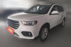 2021 Haval H6 2021 1.5T AT SportEliteSmart Connect6Side grille #1