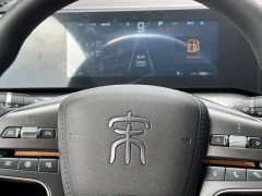 2024 BYD Song L DM-i 2024 1.5L AT 160km Surpass #7