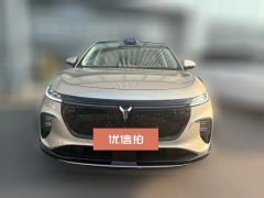 2025 Voyah Zhiyin 2025 RWDQiankunEdition #2