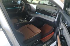 2023 BYD Tang PHEV 2021 1.5T AT DM-i 112KM Honor #8