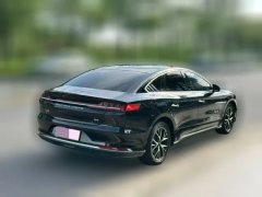 2022 BYD E9 2021 Business #5