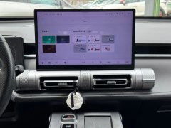 2023 GAC Trumpchi Trumpchi Yingku 2022 1.5T AT SuperNewstarProEdition #13