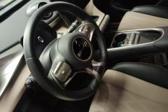 2023 BYD Dolphin 2023 420km Fashion #15