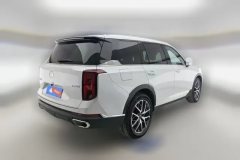 2025 GAC Trumpchi Trumpchi GS8 2025 PilotSeries 2.0TGDI AT 2WDLuxury 5Seat #3