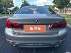 2019 BMW 5 Series 2019 2.0T AT 530LiLuxury Pkg4WD #5
