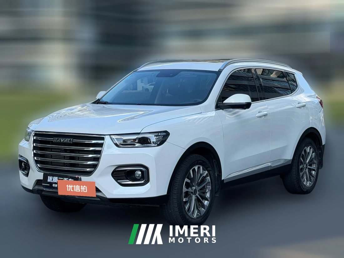 2019 Haval H6 2020 1.5T AT PlatinumChampion