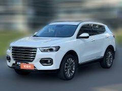 2019 Haval H6 2020 1.5T AT PlatinumChampion #1