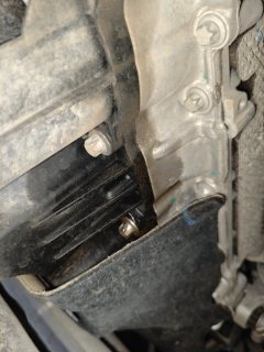 Oil Pan