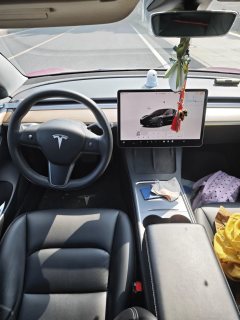 2022 Tesla Model 3 2022 rear wheel driveEdition #9