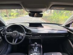 2021 Mazda CX-30 2021 2.0L AT Jiayue #9