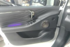 2025 Aion V 2026 AION Tyrannosaurus Rex Family Edition 650km Supreme #7