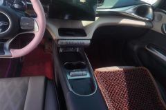 2023 BYD Dolphin 2023 420km Fashion #16