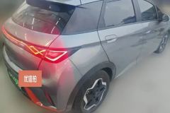 2023 BYD Dolphin 2021 405km Fashion #3
