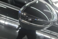 Right Exterior Mirror